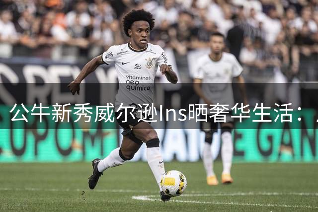 公牛新秀威尔逊Ins晒奢华生活：从草根到百万富翁的梦幻蜕变
