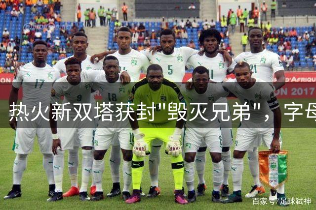 热火新双塔获封"毁灭兄弟"，字母哥+阿德巴约能否重塑禁区统治力？